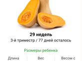 29 недель .
