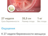 ??? 27 неделек???