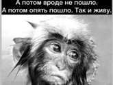 Фотография 2022-06-20 21:58:35