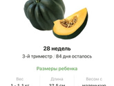 28 недель .