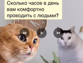 Кто со мной? 🙈🤣🤪