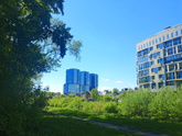 Весна 🌱