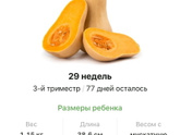 29 недель.