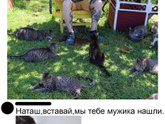 Фотография 2021-02-24 00:20:36