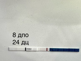 8 ДПО.