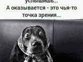 Фотография 2021-02-22 02:59:23