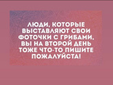 Что за гриб?
