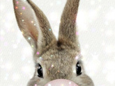 С наступающим Новым годом!