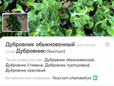 Девочки-Садоводы Девочки, помогите опознать