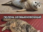 Кто вы сегодня?