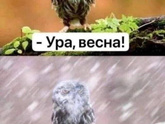 Кто чем занимается?