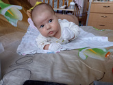 2 месяца