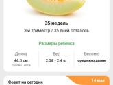 Привет 35 неделя?