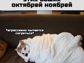 У вас дома тепло?