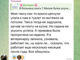 В этом году когда