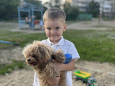 Сын
