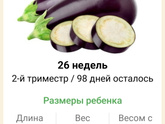26 недель 🤰🏼