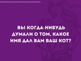 А вы думали, какое имя дал вам ваш питомец?