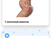 С какой недели начинается