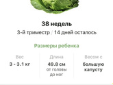 38 неделек 🩷
