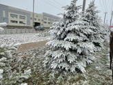 Внезапно зима ❄️
