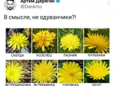 А вы знали?