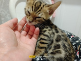 Нус с пополнением меня😻