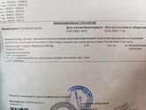 IGg варицелла зостер