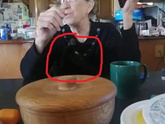 Где спрятался котик?