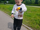 Вышли до дождя