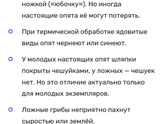 Кто хорошо разбирается у опятах и их готовке