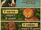 немножко юмора 😅