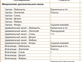 Девочки, кто сможет расшифровать