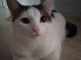 Может сочтете меня не нормальной..??♀️много букв