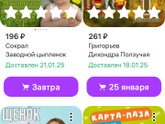 Расскажите о 4 своих последних покупках на озон или вайлдберис? Просто для развлечения )