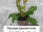 Продам 😁😁😁