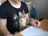 Учимся вместе с котенком