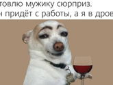 Фотография 2021-04-07 20:58:30