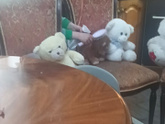 Сынок играет в семью