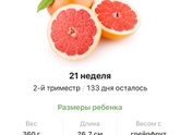 21 неделя .