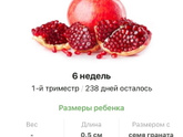 6 недель .