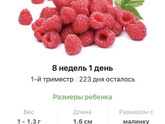 8️⃣ недель ?.