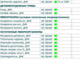 Кто поможет с расшифровкой.