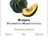 28 недель. 🎃