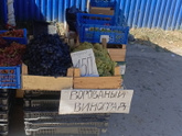 Любители Голубицкой меня закидают сейчас камнями)