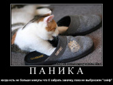 Ашотовна в тапочках - необычная блогер про образ несчастной любви в литературе