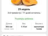 Смотрела фото животиков по