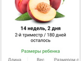 Всем привет