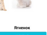36 недель 🥰