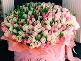 &Hearts;️&Hearts;️&Hearts;️С праздником девочки подружки